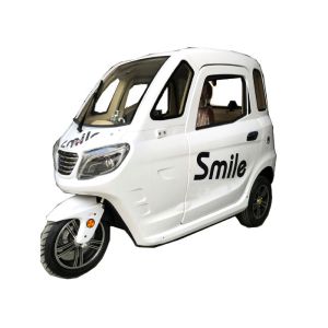 Grey 3 Wheels Enclosed Trike Motorcycle , 60V1000W ABS Enclosed Scooter Trike