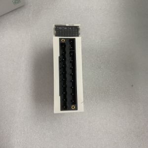 SCHNEIDER BMXDAI1604 Modicon Input Module 50 / 60HZ 100 / 120VAC NEW