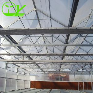 China Our Top-Notch Polycarbonate Greenhouse Single Layer 30-100m Length on sale
