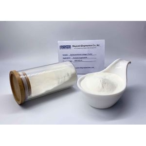 Cheap 90% Purity Hydrolyzed Collagen Powder With Great Flowability Supplement Foods for sale