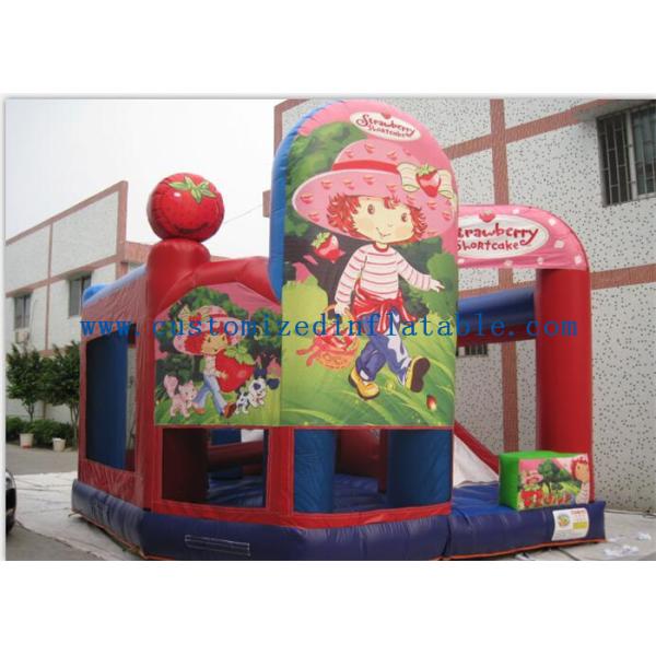 Princess And Rose Jumper With Slide Commercial Jumping Castle Inflatable Combo