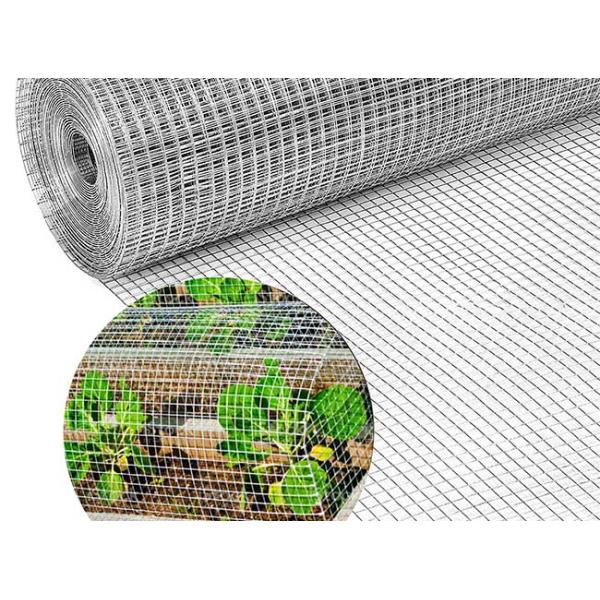 Durable Corrosion Resistant Stainless Steel Welded Mesh Rodent Proof