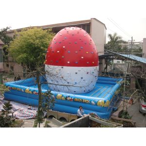 Professional Inflatable Rock Climbing Wall Inflatable Climber Bouncy Game