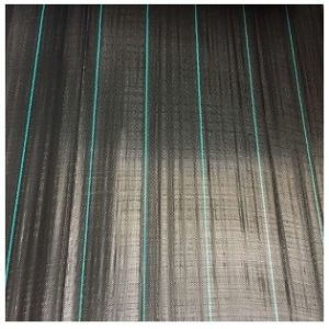 Anti-Moisture PP Woven Fabric,Gound Cover, Weed Control Fabric 100gsm