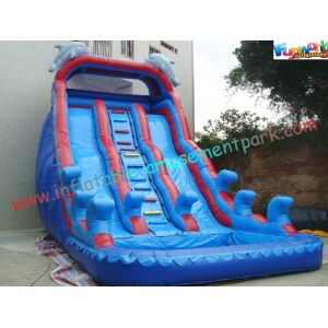 Giant Dolphin Outdoor Inflatable Water Slides , Three Line Inflatable Water