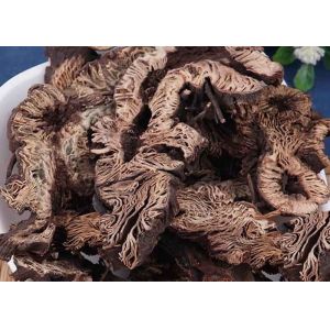 Light Grey Brown Color Black Cohosh Root Crude Type Sliced Or Whole Shape