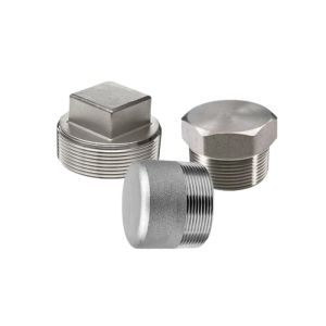Square Head Stainless Steel Threaded Pipe Fittings Threaded Plug 304 BSP ASME