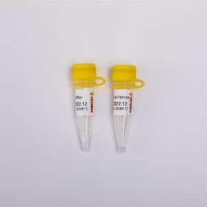 cDNA Rt PCR Gold Reverse Transcriptase R3001 2000U R3002 10000U
