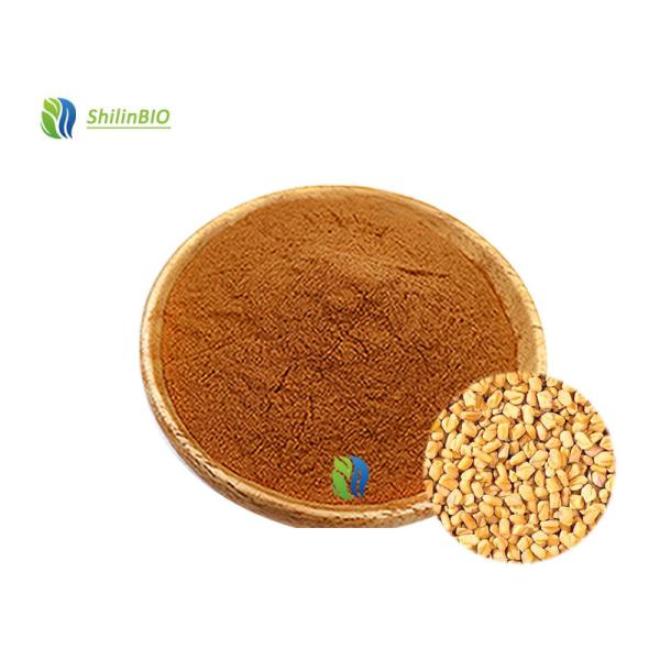 Quality Fenugreek Seed Extract Powder 10%,30%,50% Fenugreek saponin wholesale
