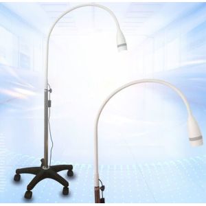 CE Certificate Pure Whitening LED Lamp For Dental Operating 1 Year Warranty