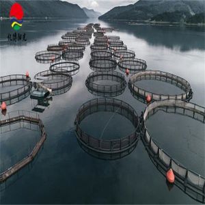 1mm HDPE Geomembrane for Agricultural Circular Tarpaulin Fish Pond Waterproofing