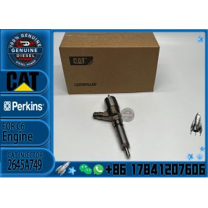 Common Rail Injector 2645A743 2645A749 for 1106D-E66TA Engine