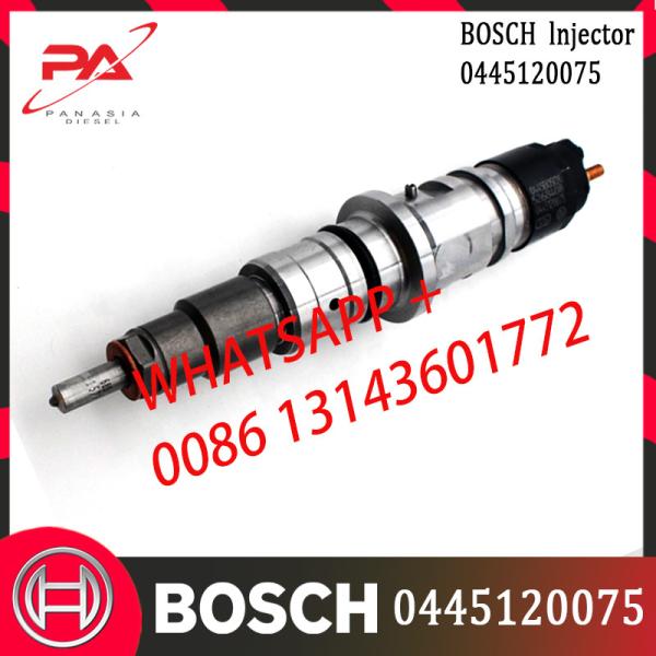 Quality 0445120075 High Quality Diesel Common Rail  Fuel Injector 504128307 2855135 wholesale