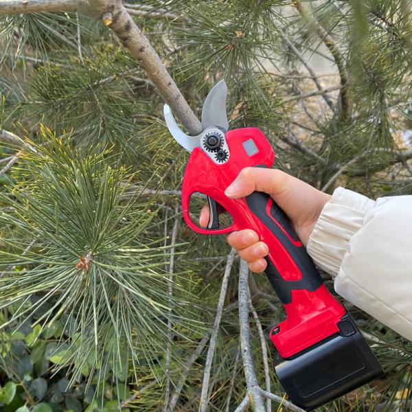 Quality 21V Pruning Shears Lithium Battery Telescopic Electric Pole Pruner wholesale