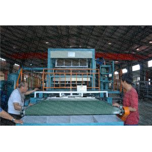 Energy Saving Paper Egg Tray Making Machine , Egg Box Making Machine