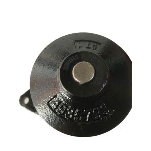 Bus Cummins Engine Water Pump Cast Iron Material 6BT/3960342