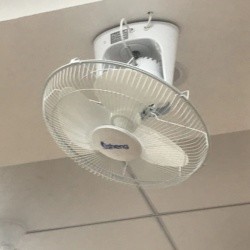 12 Volt DC Ceiling Orbit Fan For Home With 1150rpm Rotate Speed