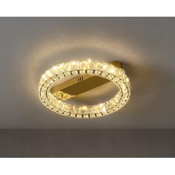 Luxury Ring Ceiling Lamp Modern Bedroom Living Room Crystal Ceiling Lamp(WH-CA-100)