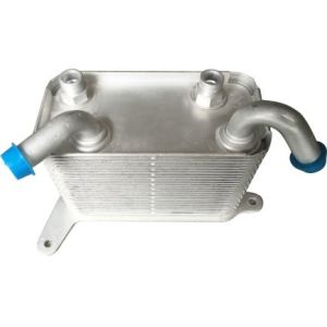 China 3D0409061G Vw External Oil Cooler For Volkswagen Phaeton Engine Assembly on sale