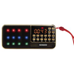 horse race lamp SD card digital music player,marquee LED rechareable Li battery