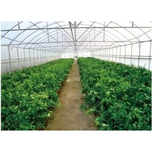 New Small Rubber Triangular Farm Crawler Tractor 60HP for Green House Orchard