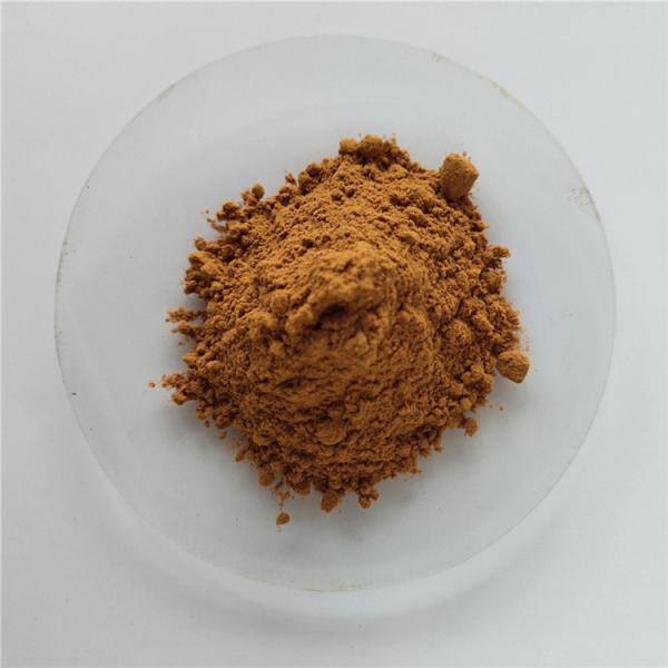 Quality Extract Herbal Bearberry Leaf Extract For Detoxification wholesale