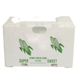 Correx Fruit Box PP Corrugated Plastic Box For Vegetable And Agriculture Packing