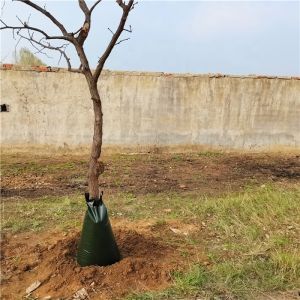 Dark Green Slow Release Watering Bag for Trees 250-3500grams 3 Same PE Tarpaulin