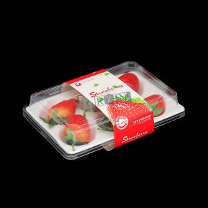 11 Compartments Clear Plastic Strawberry Containers Custom Waterproof