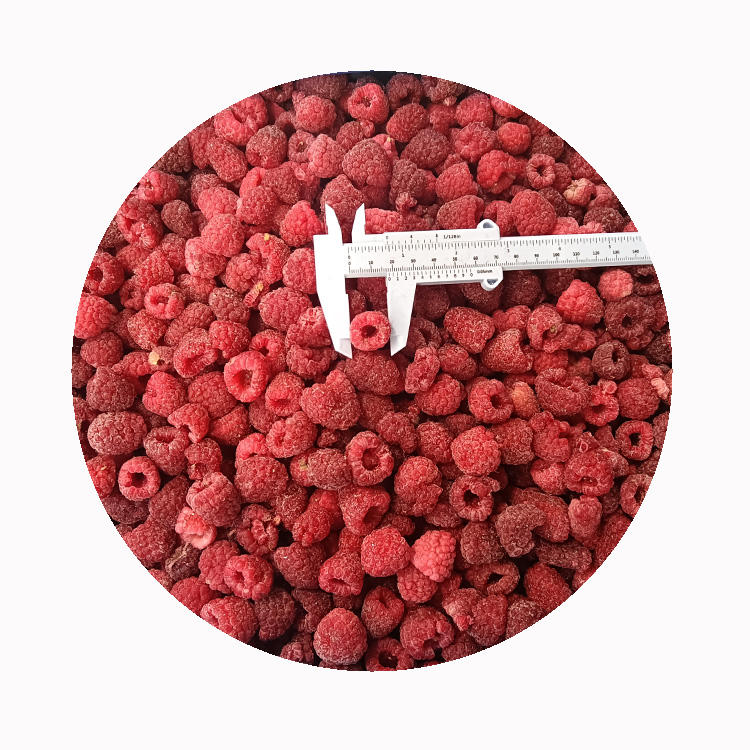 High Quality Fresh Frozen Raspberry Handpicked for Sweet Taste for Juices