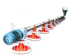 Automatic Poultry Equipment Broiler Feeding And Drinking System Chicken Farm