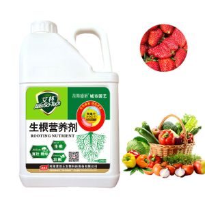 Liquid Microbial Bio Fertilizer For Promoting Root Growth