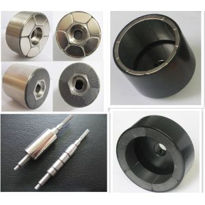 High Quality Neodymium Magnetic Assembly for Motor