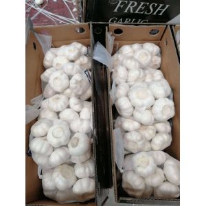 Pure White Natural Garlic Flavor Dedhyrated Garlic 4.5cm 6.0cm