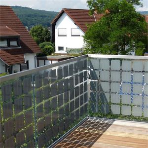 Clear Glass Solar Greenhouse Transparent Cell Panel BIPV 220v