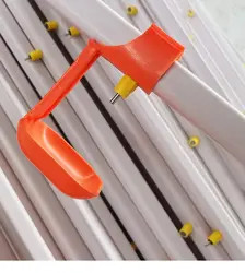 A complete set of waterline feeding line and automatic breeding equipment for