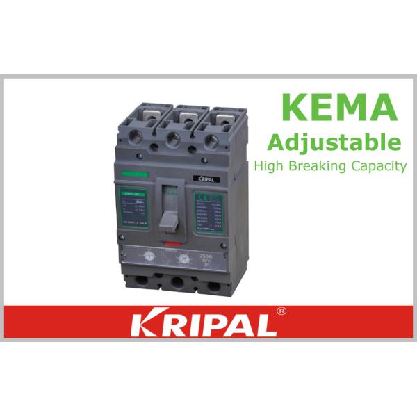 Compact Electronic Trip Molded Case Circuit Breaker 250A , High breaking
