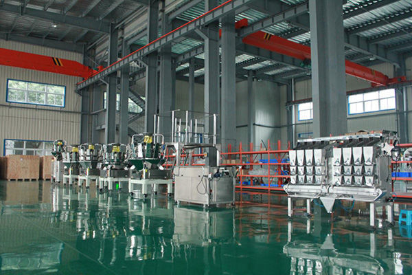 Powder, Nuts, Spices, Rice, Beans, Chickpeas, Bars 10 Head Weigher&Packaging System 3