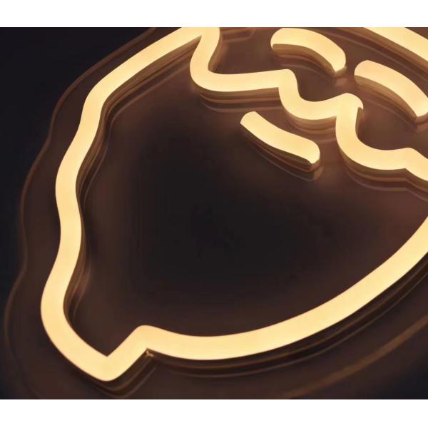 Festival Led Light Rgb Decoration Customizedizable Text Santa Christmas Lights