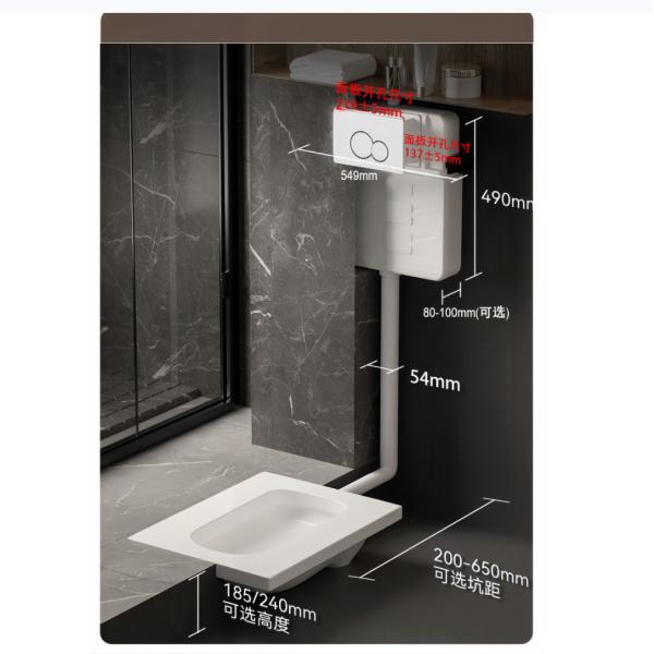 Bathroom Gold Color Smart Toilet with Upper Cistern and Customizable Colored Water Tank