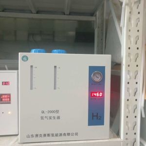 2LPM Water Electrolysis Hydrogen Generator with Low Maintenance Cost and High