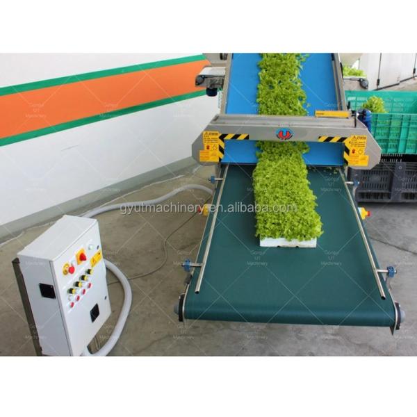 Quality Microgreens Harvester Machines Gear Drive Electric Babyleaf Harvester by Terrateck wholesale
