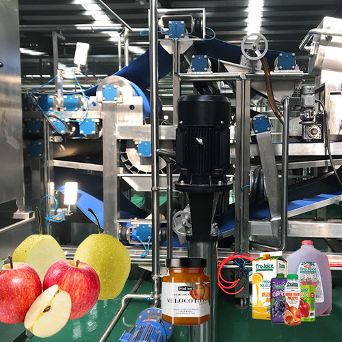 Quality SUS 304 / 316 Automatic Apple Jam Production Line 1 - 20T/h  Energy Saving wholesale