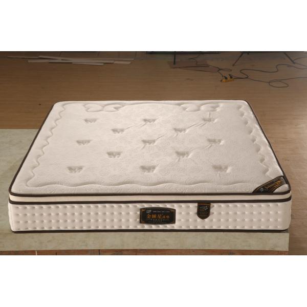Quality Latex Top Pocket Spring Mattress Knitted Fabric Back Support And Alignment wholesale