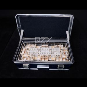 1:50 Scale Realistic Villa Model ABS Acrylic Wood Display