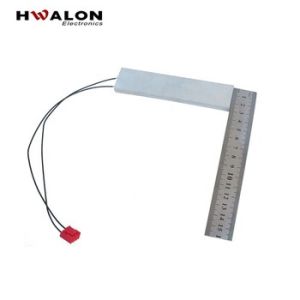 Standard 220V Constant Temperature PTC Heating Plate Electric Ceramic PTC