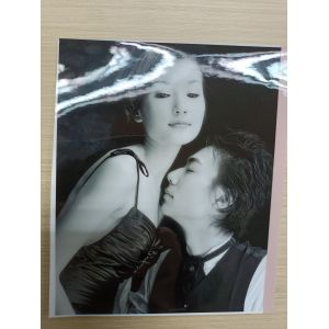 China Packaging Film Matte/Glossy PET Laminate EVA Adhesive Line for Paper and Products Width 200-1920mm on sale