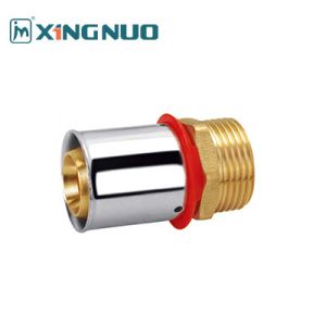 China 3/4 NPT Polished Brass Compression FittingsRed PEX Fittings Brass 1/2-1 PEX Press Fitting Thread Male Socket Fittings on sale