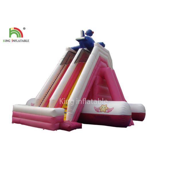 Customized Size Pink PVC Tarpaulin Inflatable Water Slide Outdoor Amusement Park