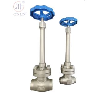 Manual Stainless Steel Cryogenic Globe Valve DN25/DN15 For LNG/LOX/LN2/LAR/LCO2